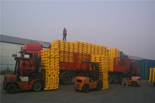 叉車搬運(yùn)塑料托盤